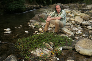 Patrick Blanc and a rheophytic Impatiens with bright yellow flowers, Putao, Kachin, Myanmar, Dec. 2017
