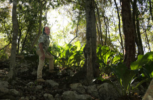 Patrick Blanc and a saxicolous population of Anthurium cubense, Las Terrazas, Cuba, Feb. 2017