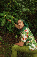 Patrick Blanc and a shrubby species of Melastomataceae growing on a vertical earth bank, Penang Hill, Malaysia, June 2015