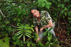 Patrick Blanc and a single leaved Zamia prasina, Gaia, Mountain Pine Ridge FR, Belize, Jan. 2020