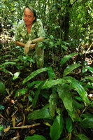 Patrick Blanc and a small form of Arenga hookeriana, Si Phang Nga NP, Thailand, March 2022