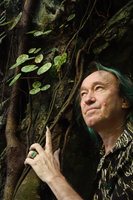 Patrick Blanc and a spotted Begonia kingiana growing on a vertical shaded limestone cliff, Perak, Malaysia, June 2015