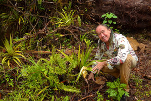 Patrick Blanc and Astelia montana on the ground due to a treefall following a hurricane, Des Voeux Peak, Taveuni, Fiji, Aug. 2016