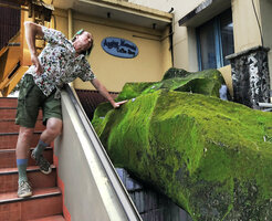 Patrick Blanc and a strange concrete structure covered with bright green somewhat iridescent algae and mosses, a perfect source of inspiration for the Dreamscape Garden at Changi T2 airport, Makassar, South Sulawesi, June 2019