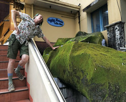 Patrick Blanc and a strange concrete structure totally covered with bright green somewhat iridescent algae and mosses, Makassar, South Sulawesi, June 2019