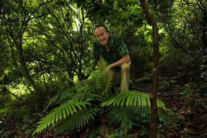 Patrick Blanc and a terrestrial fern, Tanglang Shan, Shenzhen, China, July 2017