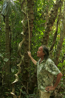 Patrick Blanc and a tortuous liana in forest understory, Macleod Is., Tanintharyi, Myanmar, Jan. 2018