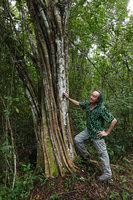 Patrick Blanc and a trunk of Haematoylum campechianum, Las Lagunas, Flores, Peten, Guatemala, Jan. 2020