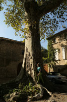 Patrick Blanc and a two hundred years old Platanus at Chateau Beaupré Deleuse, Saint Laurent des Arbres, France, Sept. 2017