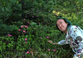Patrick Blanc and a vegetative population of Rhododendron ferrugineum, Saint Moritz, Switzerland, June 2015