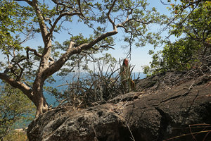 Patrick Blanc and a vegetative population of Sansevieria sinus-simiorum growing at the top of a bare rock, Lake Malawi NP, Aug. 2017