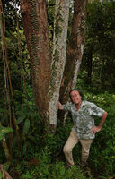 Patrick Blanc and a vertically climbing juvenile liana with appressed leaves, probably Zanonia indica, Berembun FR, Negeri Sembilan, Malaysia, April 2023