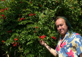 Patrick Blanc and a very bright dark form of Campsis radicans withstanding very cold winters, Detroit, July 2016