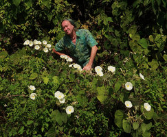 Patrick Blanc and a white flower form of the native but invasive Merremia peltata, Da Nang, Vietnam, Oct. 2018