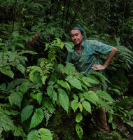Patrick Blanc and Begonia weigallii, Imbu Rano, Kolombangara, Solomon Islands, Sept. 2019