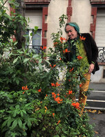 Patrick Blanc and blooming Tecoma capensis that he installed in his small street flower bed, Nov. 2020