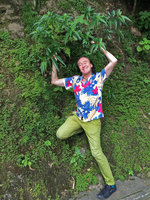 Patrick Blanc and Boehmeria penduliflora var. loochooensis, Victoria peak, Hong Kong, Oct. 2015