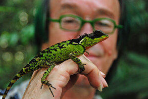 Patrick Blanc and Calotes emma, Khao Yai NP, Thailand, May 2012