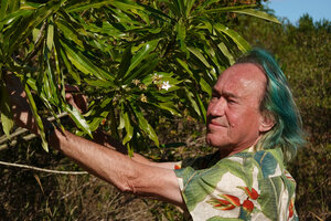 Patrick Blanc and Cerbera manghas, Domaine de Deva, New Caledonia, Aug. 2023
