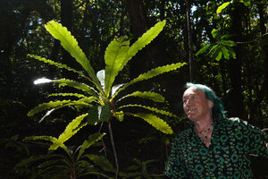 Patrick Blanc and Codiaeum peltatum with undulate leaves, Roches de la Ouaieme, New Caledonia, Aug. 2023.