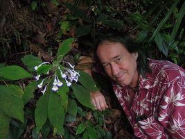 Patrick Blanc and Codonoboea quinquevulnera, Fraser&#039;s Hill, Malaysia, March 2015