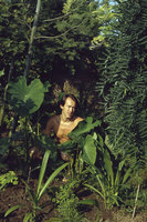 Patrick Blanc and Colocasia esculenta, Montauban, France, August 1980