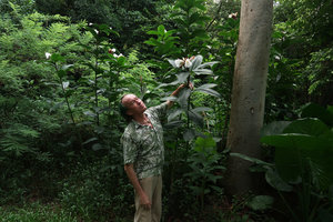 Patrick Blanc and Costus speciosus, South China Botanical Garden, Guangzhou, China, Aug. 2018