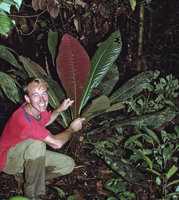 Patrick Blanc and Cybianthus anthuriophyllus, Rio Villano, Ecuador, Aug. 1996