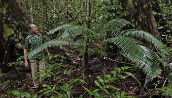 Patrick Blanc and Cycas scratchleyana in forest understory on limestone substrate derived from old coral reefs, Waigeo, Raja Ampat, Papua, May 2025