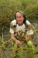 Patrick Blanc and Cyperus glomeratus, Camargue, France, Sept. 2017