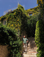 Patrick Blanc and Dolichandra unguis cati in full bloom covering the stone  walls, Eze Village, France, June 2021