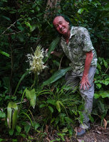 Patrick Blanc and Dracaena pethera (syn. Sansevieria kirkii) in full bloom, Kimboza FR, Uluguru Mts, Tanzania, Jan. 2021