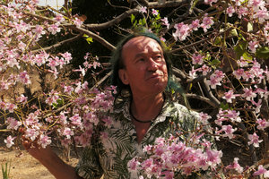 Patrick Blanc and flowers of Stereospermum kunthianum, South Luangwa NP, Zambia, Sept. 2017.jpeg