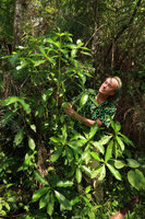 Patrick Blanc and Hedyosmum brasiliense, Serra do Tabuleiro, Santa Catarina, Brazil, Oct. 2018