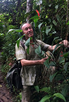 Patrick Blanc and heliconia hirsuta with zingiberoid leafy stems and bright red bracts, Calanoa, Leticia, Colombia, Nov. 2016