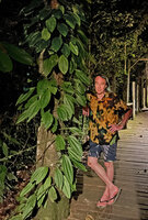 Patrick Blanc and Heteroblemma alternifolium, Sukau, Kinabatangan, Sabah, Borneo, July 2022