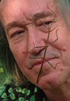 Patrick Blanc and his branch like Phasmid guest, Elephant Springs, Hue, Vietnam, Oct. 2018