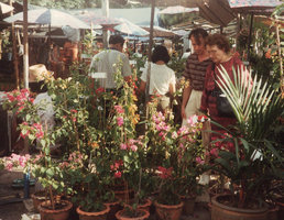 Patrick Blanc and his Mother at the Chatuchak flower market, Bangkok, Sept. 1984