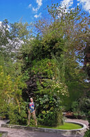 Patrick Blanc and his Mur Végétal,Chaumont-sur-Loire, 18 years after its creation, Aug. 2012