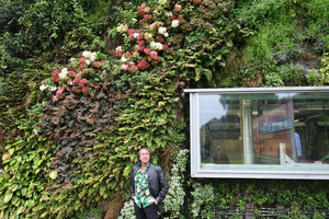 Patrick Blanc and his outdoor Ovilleo Veolia Vertical Garden, Marquette, France, Sept. 2015