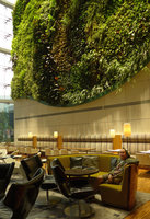 Patrick Blanc and his Vertical Garden, Hotel Icon, Hong Kong, April 2016