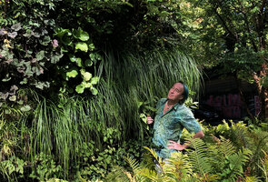 Patrick Blanc observing Carex paniculata on his Vertical Garden, SPG Amandolier, Geneva, Switzerland, Sept. 2019
