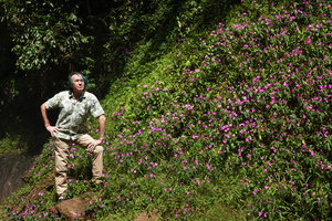 Patrick Blanc and Impatiens chevalieri, Dambri Waterfall, Bao Loc, Vietnam, Nov. 2019