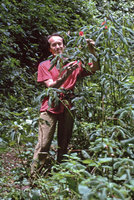 Patrick Blanc and Impatiens mazumbaiensis, West Usambara Mts, Tanzania, Feb. 1996