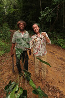 Patrick Blanc and Innocent Medjo holding a fruiting specimen of Cercestis blancii, Ebodjé, Campo, Cameroon, March 2018