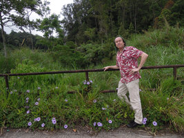 Patrick Blanc and Ipomoea cairica, Fraser&#039;s Hill, Malaysia, March 2015