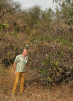 Patrick Blanc and Ipomoea shirambensis, flowering while totally defoliated during the dry season, Monkey Bay, Malawi, Aug. 2017