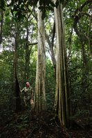 Patrick Blanc and Lagerstroemia calyculata, Cat Tien NP, Vietnam, Nov. 2019