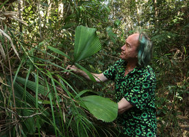 Patrick Blanc and Licuala magalonii, Ba Na Hills, Da Nang, Vietnam, Oct. 2018