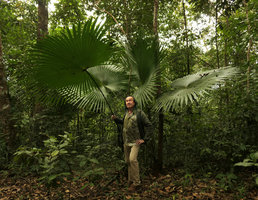 Patrick Blanc and Livistona jenkinsiana, Putao, Kachin, Myanmar, Dec. 2017